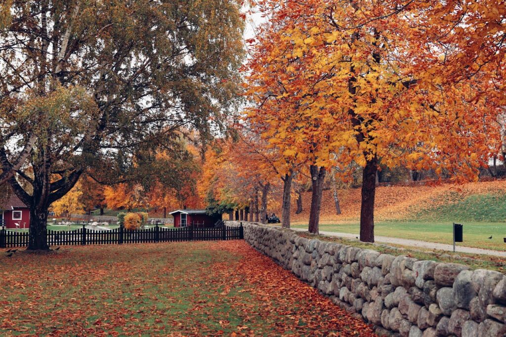 What Is the Best Time to Visit Stockholm? 5 Autumn in Stockholm What Is the Best Time to Visit Stockholm?