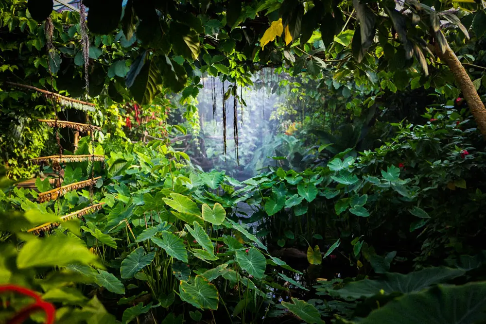 The Butterfly House in Hagaparken